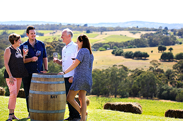 Kay Brothers vineyard